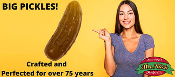 Large Whole Kosher Dill Pickles 1 Gallon 128 Oz Big Pickles In Pickle Juice Brine The Perfect Sandwich Pickle