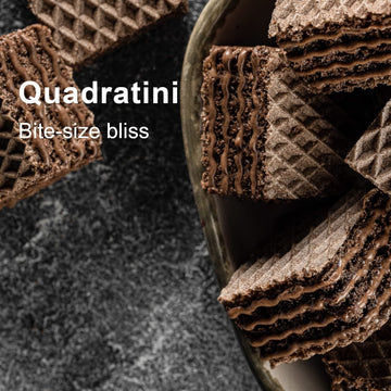 Loacker Quadratini Premium Double Choc Wafer Cookies, 250G/8.82Oz (14305)
