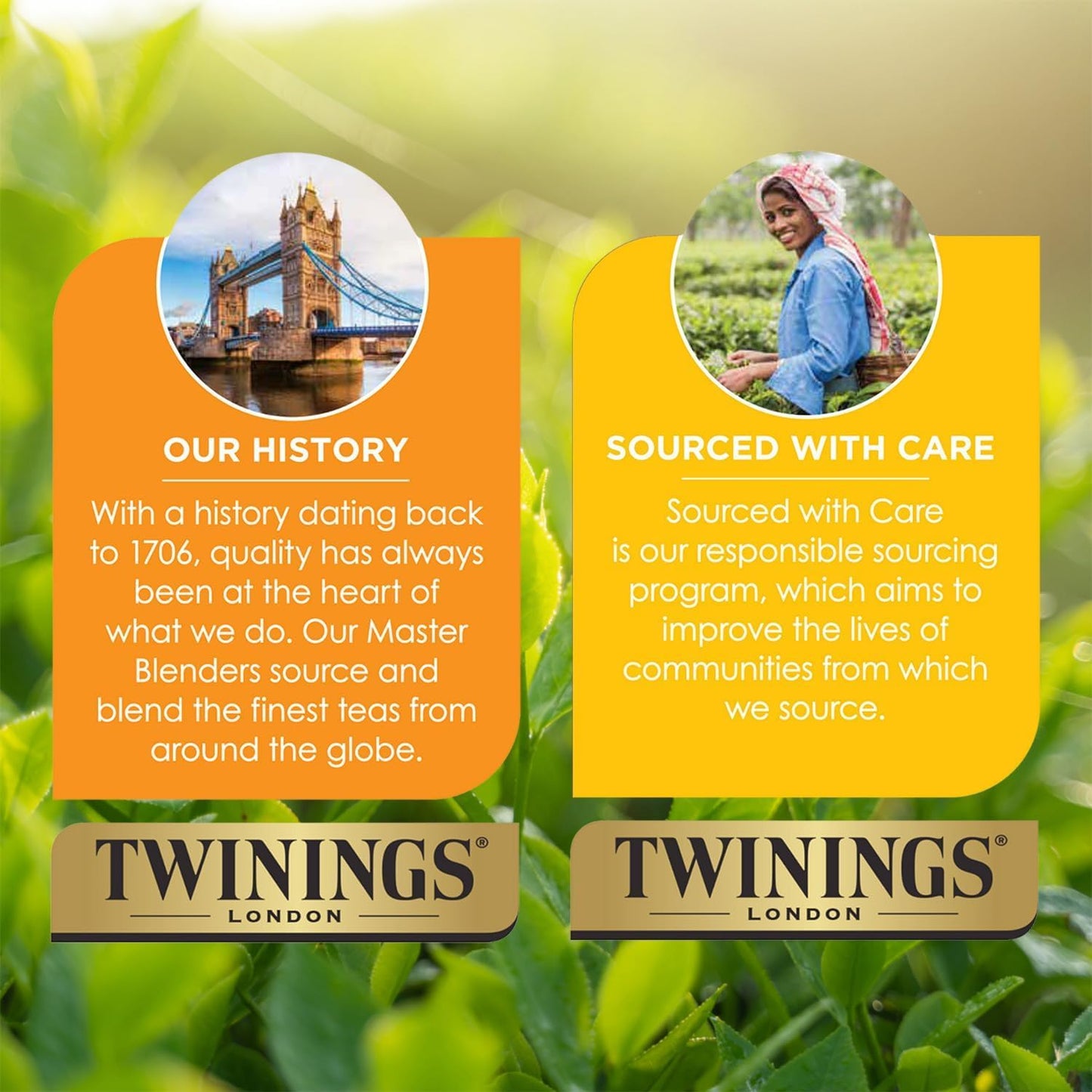 Twinings Herbal Tea K-Cup Pods for Keurig Variety 3-Pack - Pure Peppermint Pure Camomile + Lemon & Ginger Tea K-Cups Naturally Caffeine-Free 12 Count Each