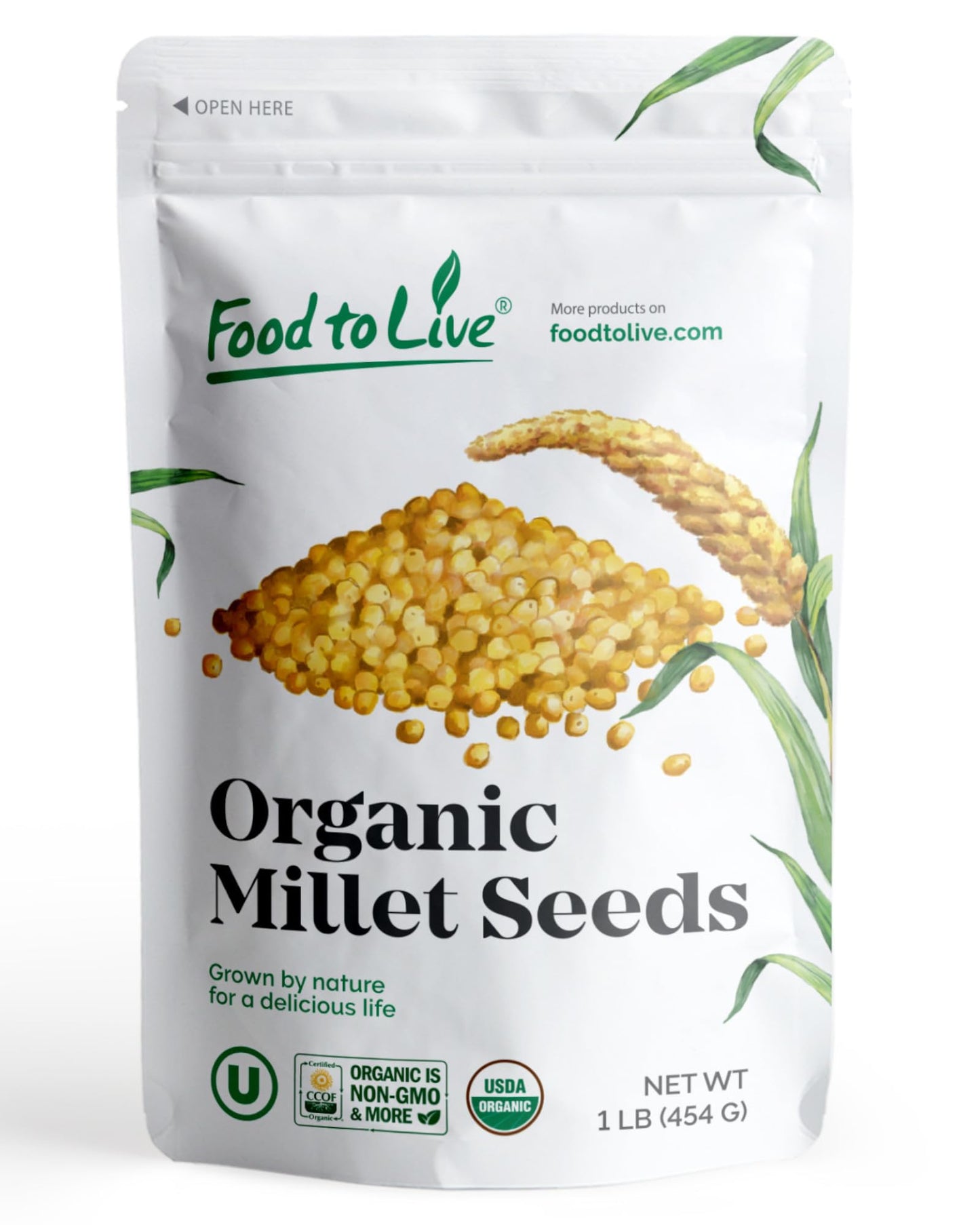 Food to Live Organic Hulled Millet, 1 Pound - Whole Grain Seeds, Non-GMO, Kosher, Raw, Bulk, Product of the USA