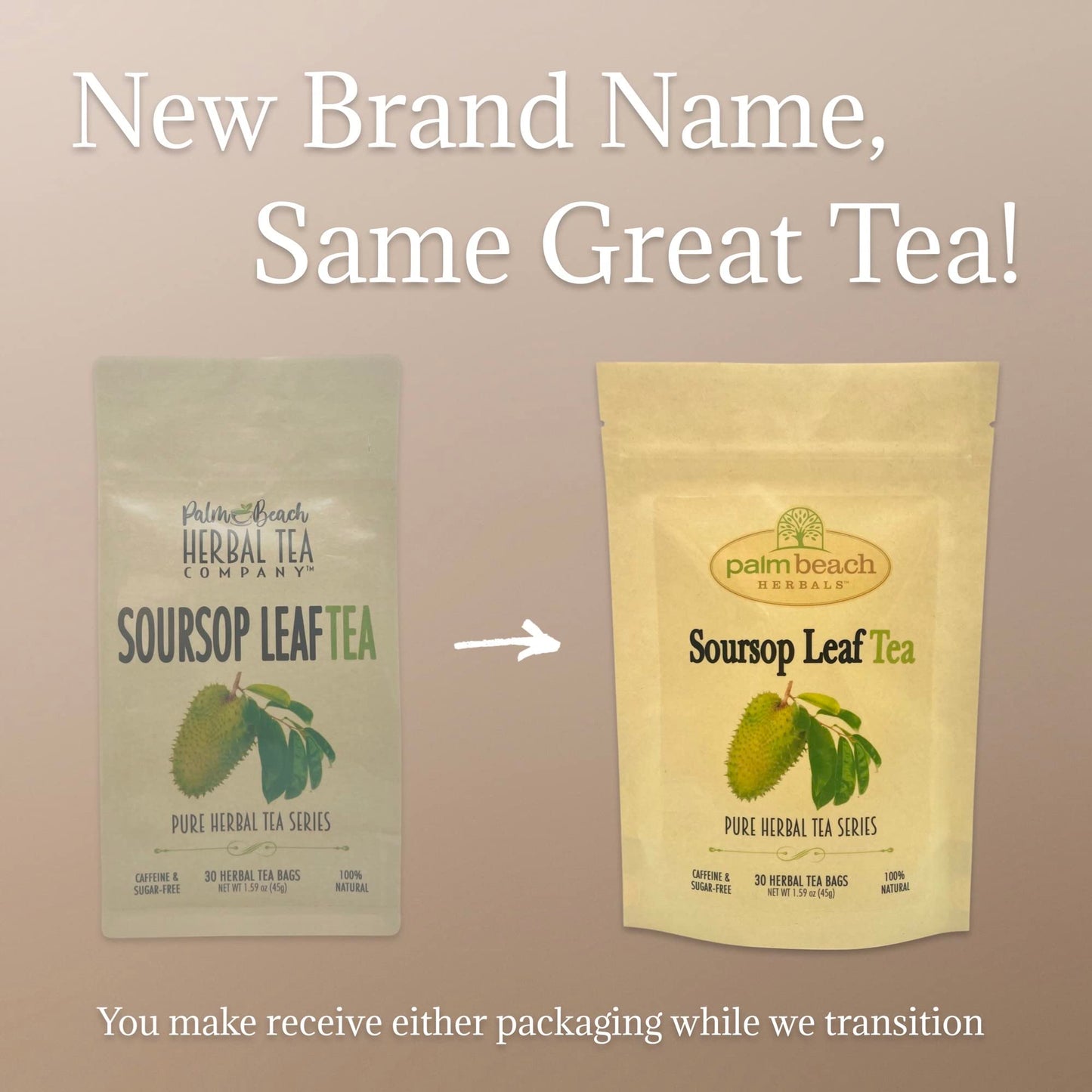 Palm Beach Medicinal Herbs Soursop Leaf Tea - Herbal Tea Series, 30 Count