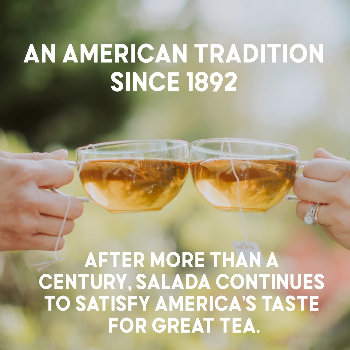Salada White Tea - Delicate White Tea with 40 Individually Wrapped Bags, Pack of 6, Caffeinated
