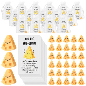 Huwena 30 Employee Appreciation Gifts for Coworkers Resin Emotional Positive Gift with Card Organza Bag for Office Employee Cowo