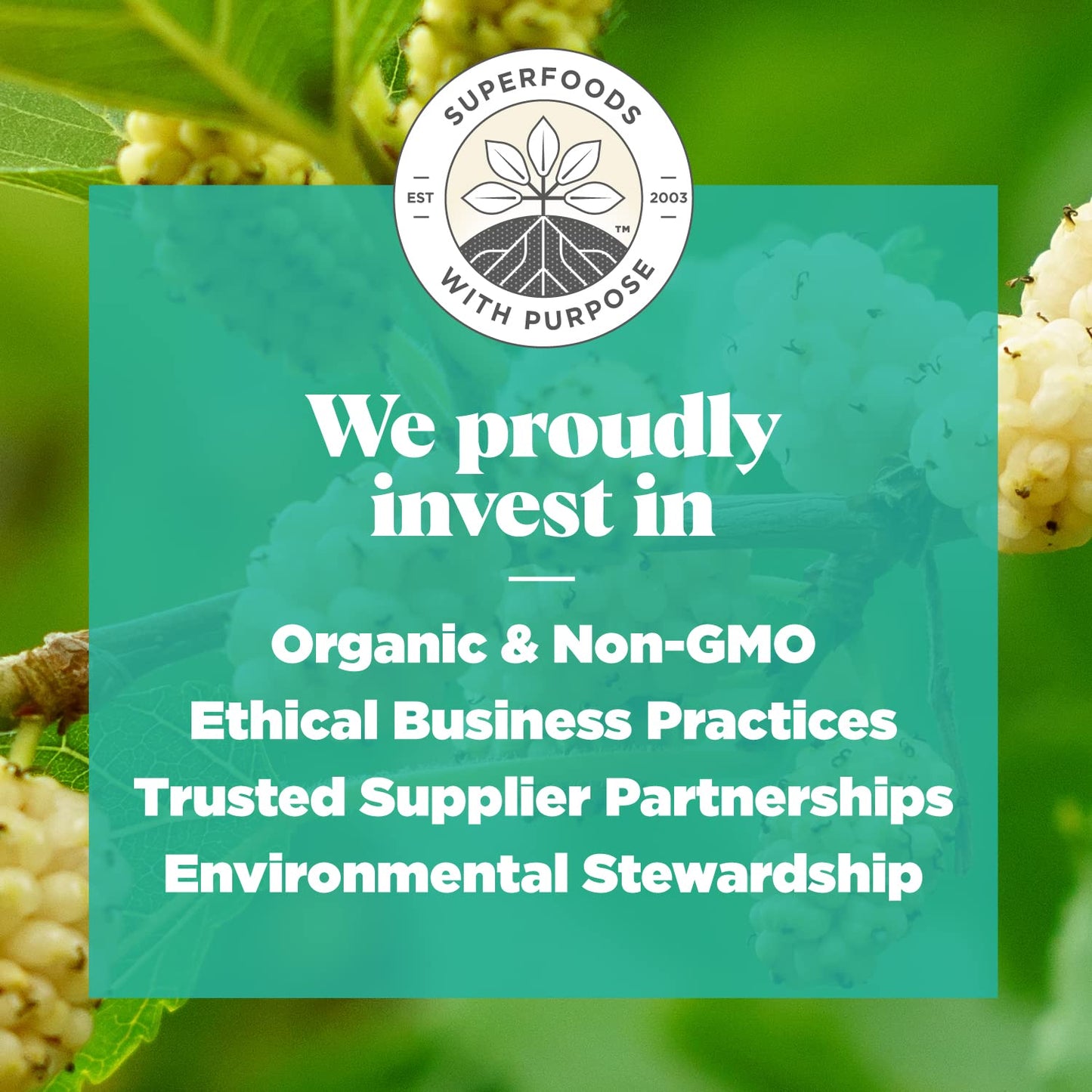 Navitas Organics Mulberries, 8 oz. Bag, 8 Servings - Organic, Non-GMO, Sun-Dried, Gluten-Free, Sulfite-Free (Pack of 1)