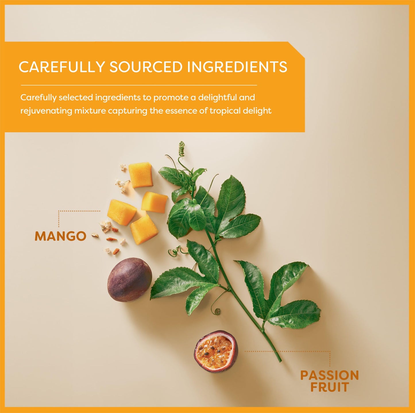 Wissotzky Mango & Passion Fruit Tea (20 Tea Bags) Caffine Free, Made With Premium Fruit & Herbal Tea Leaves