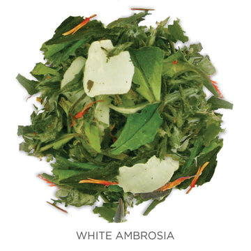 Tea Forte Organic White Tea White Ambrosia, 1.05 Ounce Loose Leaf Tea Canister