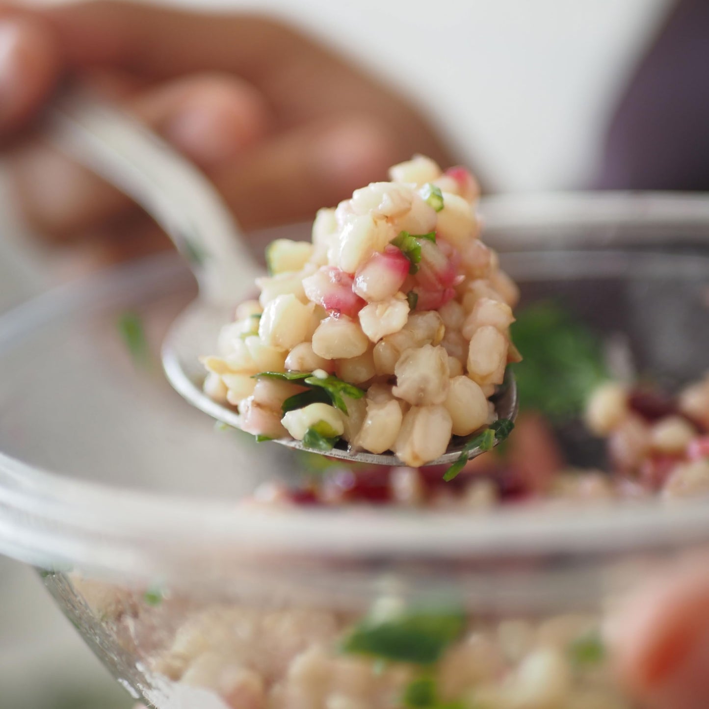 Hampton Distribution Barley Pearl, 16 Ounce Bulk Bag for Cereals, Salads, Stews