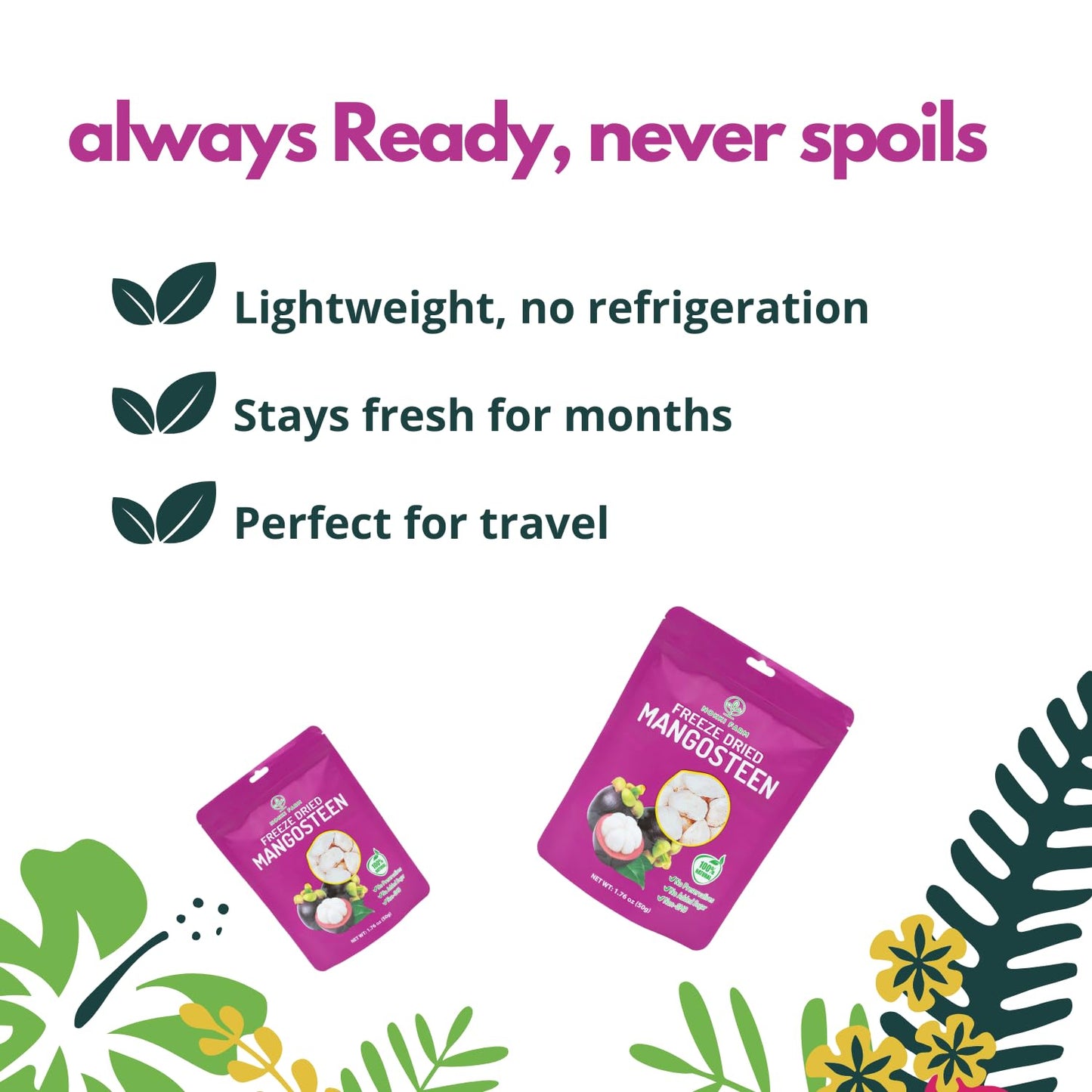 (Pack Of 3) Nokki Farm Freeze Dried Mangosteen 50G | Superfood| 100% Natural | No Sugar Added | Vegan | Non Gmo | All Natural |