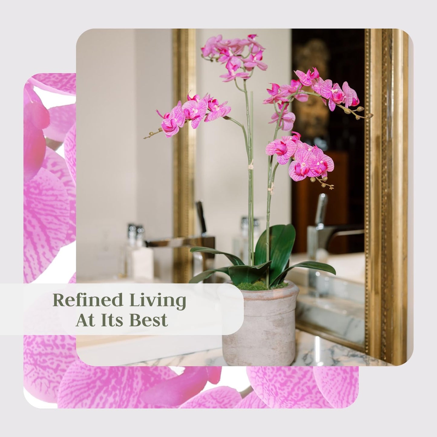 Cg Hunter Faux Pink Orchid Plant, Premium Artificial Indoor Flower Display Stands 24   , Beautiful Sculptural Blooms That Lasts