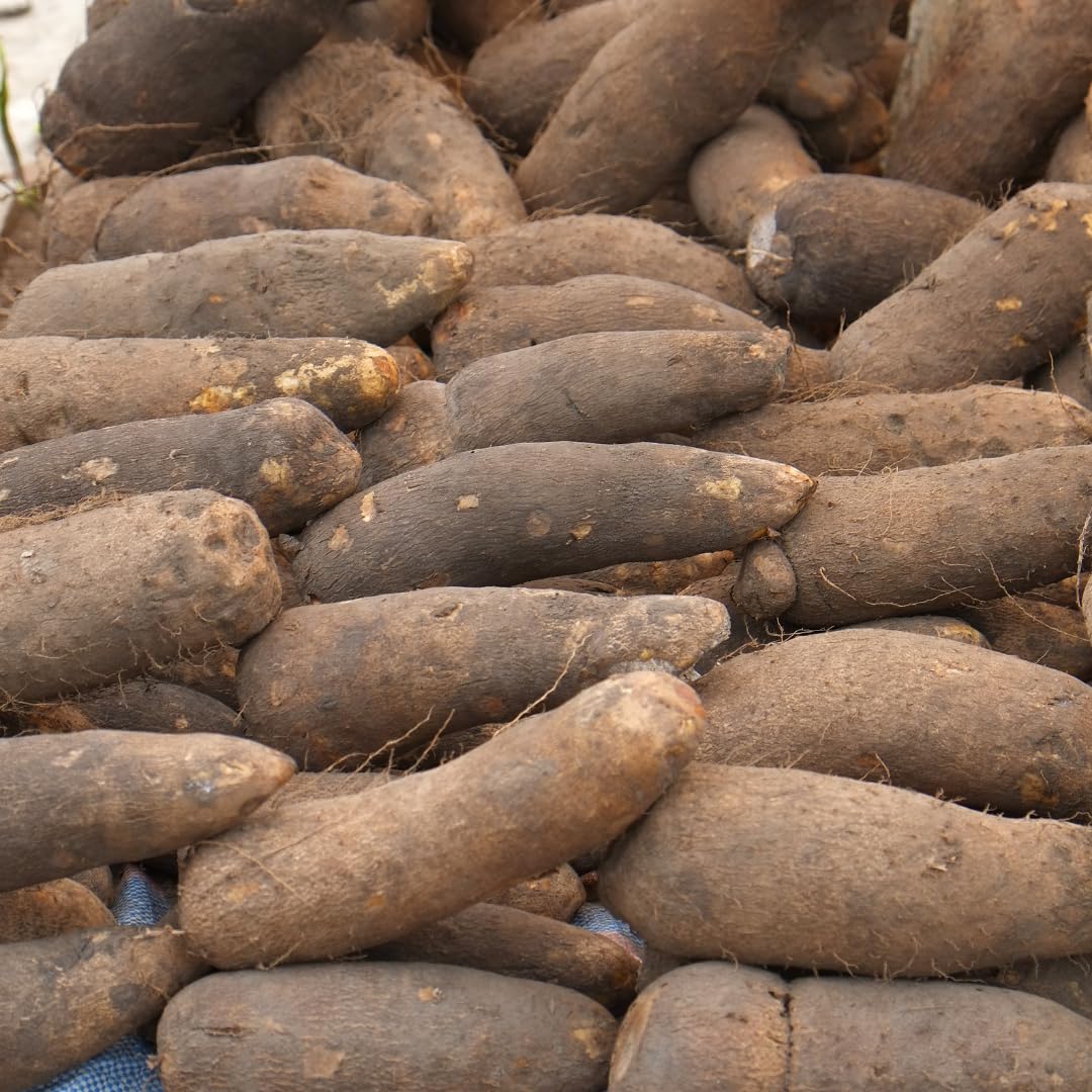 Kovafood Fresh Ghana Yam (2-3 Tubers), 10 Lbs. All Sliced And Cleaned-Cut To Guarantee Freshness Upon Delivery