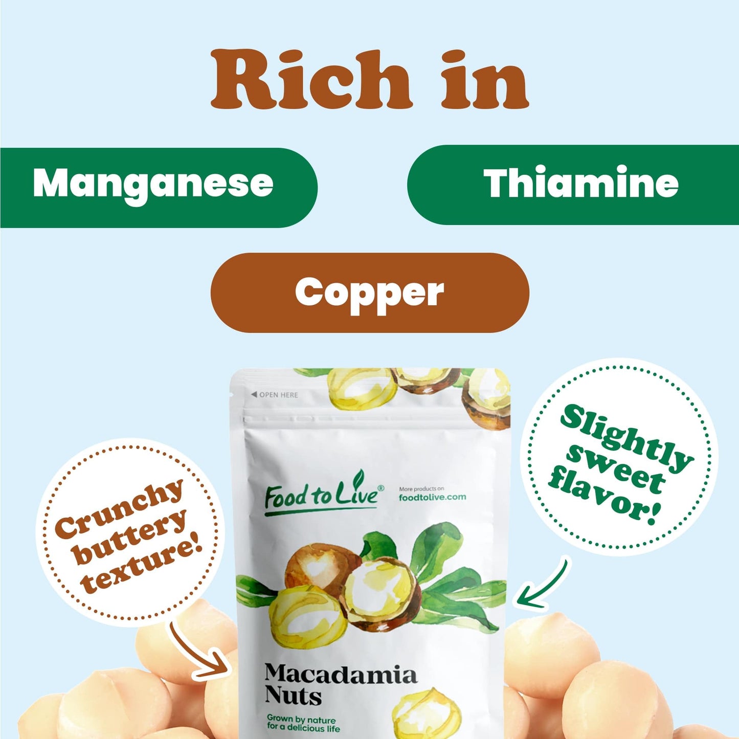 Food To Live Whole Macadamia Nuts, 2 Pounds – Non-Gmo Verified, Raw, Unsalted, Unroasted, Keto Friendly, Kosher, Vegan, Bulk, Great As Snack & For Baking, Good Source Of Manganese, Thiamin, & Copper