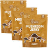 Pan's Mushroom Jerky, Vegan Snacks, Dried Mushrooms Shitiake, Plant based Jerky, Meatless Jerky, Gluten Free, High in Fiber, wit