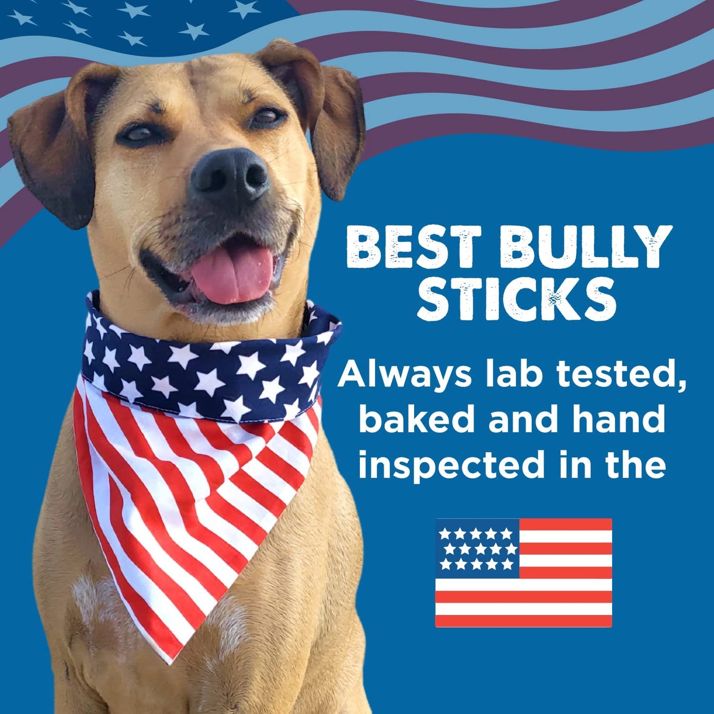 Best Bully Sticks All Natural Usa Baked Packed Pig Ears For Dogs - Single Ingredient Highly Digestible 100 Pork Dog Chew Treats