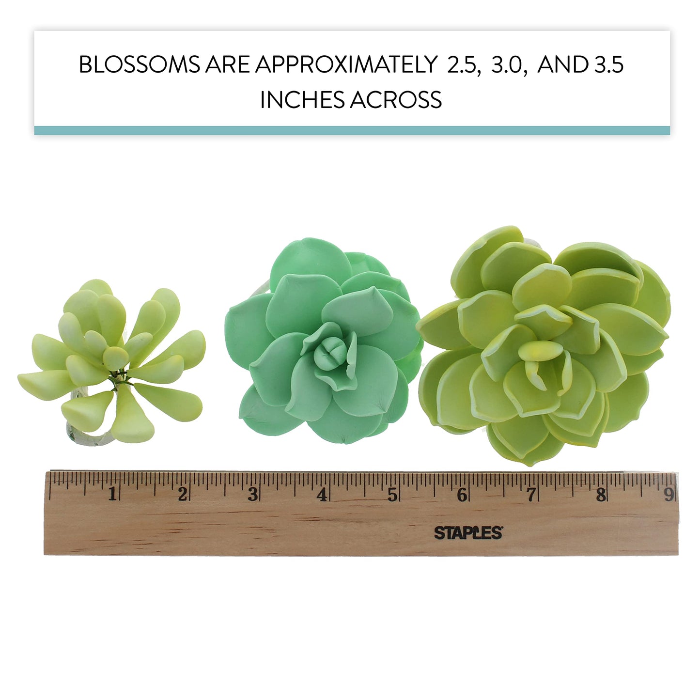 Global Sugar Art Succulent Mixed Assortment Sugar Cake Flowers, 3 Count By Chef Alan Tetreault