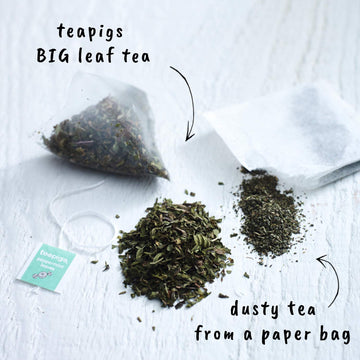 Teapigs Peppermint Leaves Tea Bags Made With Whole Leaves , 15 Count (Pack Of 1)