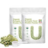 UNLEASHD ORGANIC Organic Pumpkin Seed Protein Powder 16 Ounce 2-Pack, Plant-Based, Non-GMO, Vegan, No Artificial Sweeteners