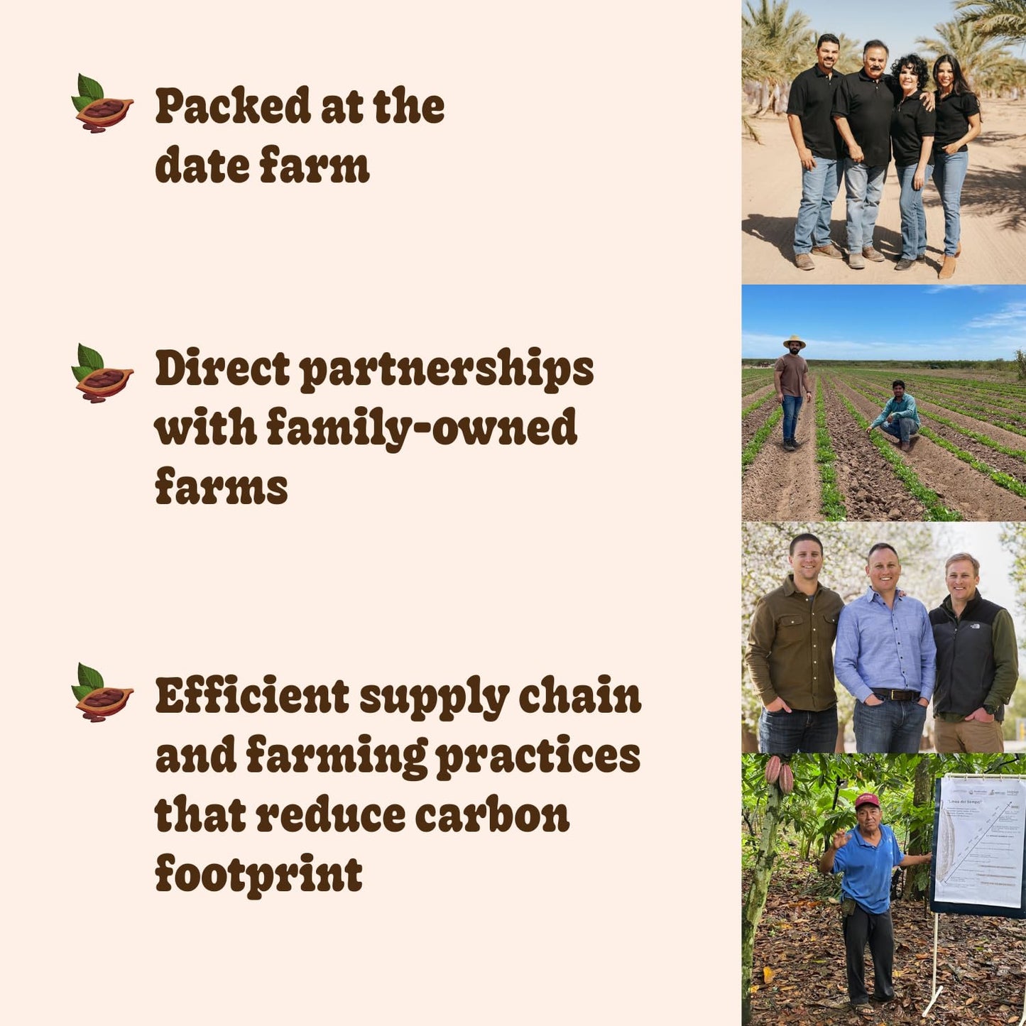 Realsy Organic Peanut Butter Chocolate Filled Medjool Dates, Gluten-Free, Vegan, 10-Pack