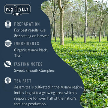 Organic Positively Tea Company, Assam Black Tea, K-Cup Compatible, 24 Pods
