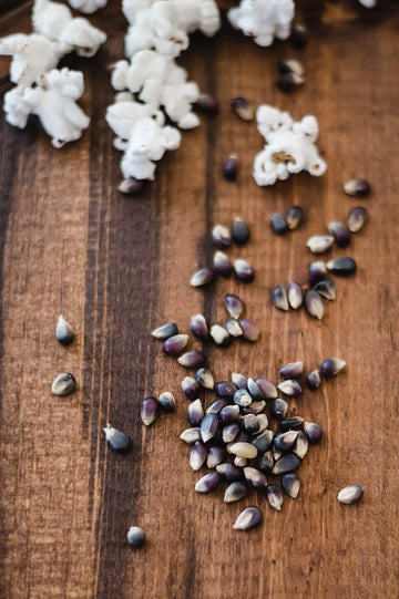 Amish Country Popcorn | 24-4 Oz Bags - Midnight Blue Kernels | Old Fashioned, Non-GMO and Gluten Free