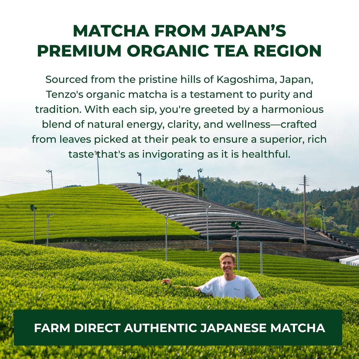 Tenzo Matcha Green Tea Powder, Organic Sweetened Latte Mix, 2.2 Pound, Ceremonial Barista Crafted, Authentically Japanese