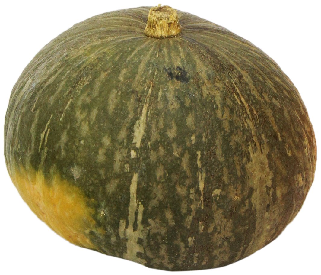 Organic Kabocha Squash