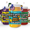Biolore Sea Moss Gel - Wildcrafted Irish Sea Moss, Made in USA - Superfood with Essential Vitamins, Trace Minerals - Mango Pinea