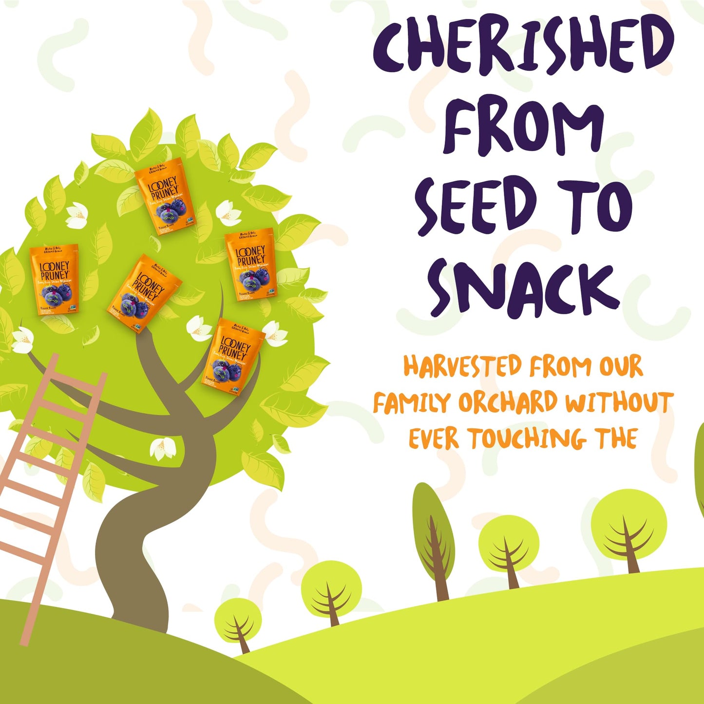 Looney Pruney Pitted Dried Prunes for the Entire Family | Always California-Grown | Kosher | No Added Sugar & No Preservatives (