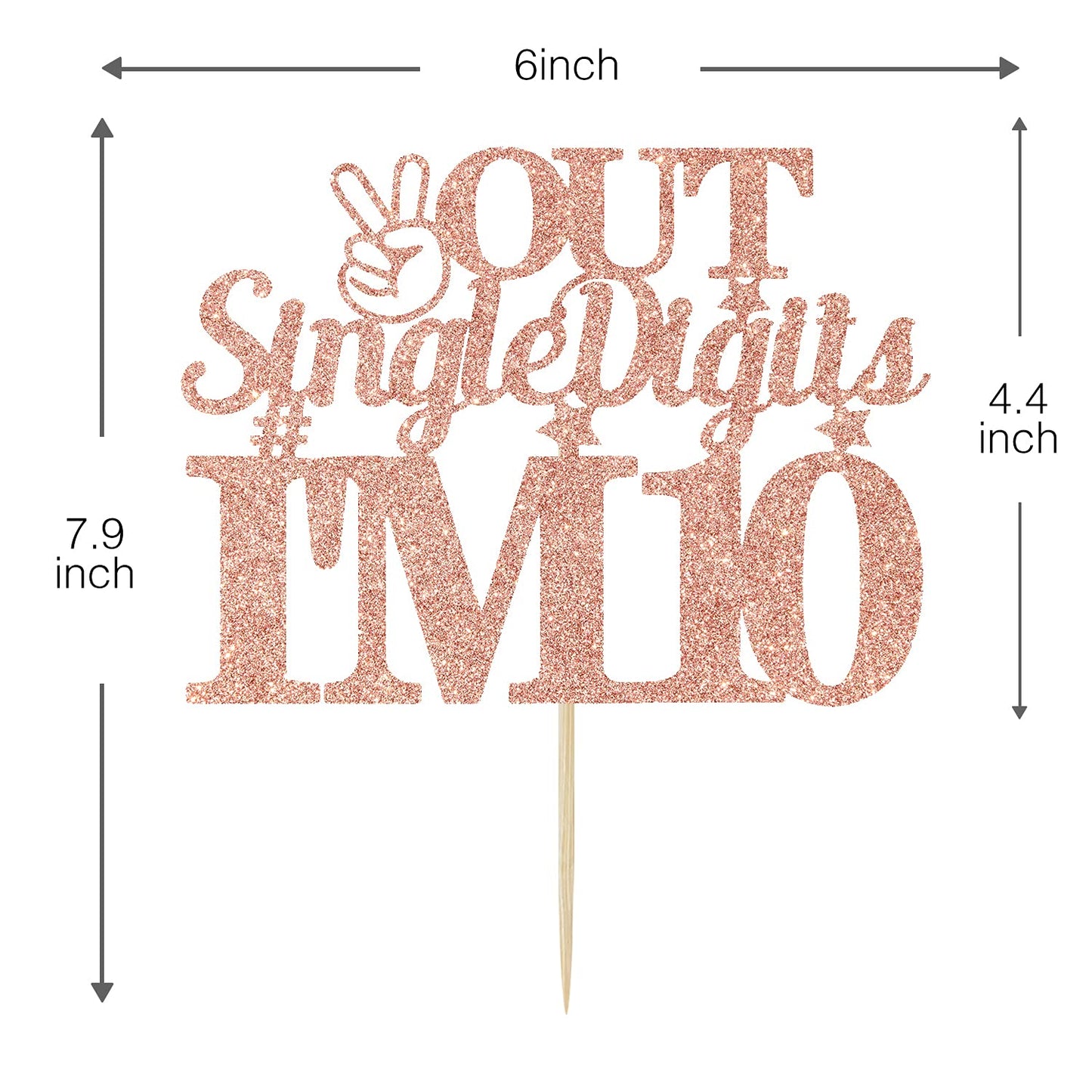 Out Single Digits I'M 10 Cake Topper, Double Digits 10 Cake Decorations, Happy 10Th Birthday Decorations Supplies For Boys Girls