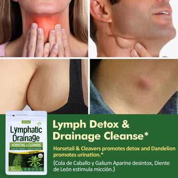 Herbmood Horsetail Lymphatic Drainage Tea Bags for Lymph System Support, Te de Cola de Caballo para Drenaje Linfatico, Cleavers