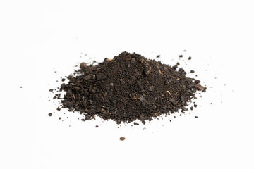 Best Botanicals Black Walnut Hull Cut 16 Oz.