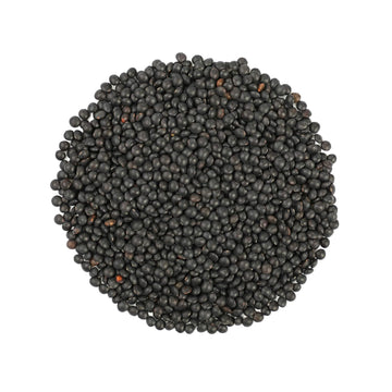Food To Live Organic Black Lentils, 2 Pounds - Non-Gmo, Whole Dry Pulses, Raw, Sproutable, Kosher, Vegan, Bulk Legumes, Black Ma