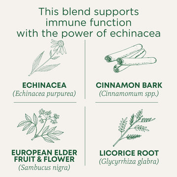 Traditional Medicinals Organic Immune Zoom Tea, Elderberry Echinacea, 16 Tea Bags