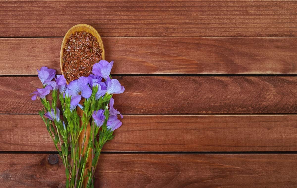 Food to Live Organic Brown Flax Seeds, Whole Raw, Non-GMO, Vegan, 4 Pounds