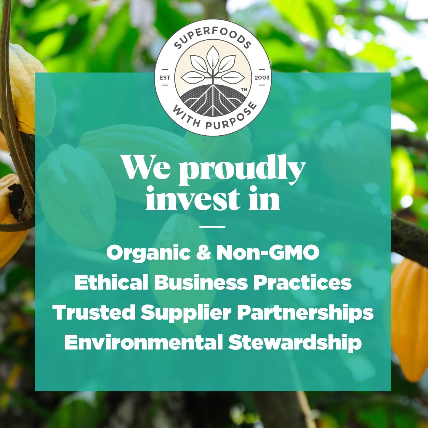 Navitas Organics Cacao Sweet Nibs, 4oz. Bag, 28 Servings - Organic, Non-GMO, Gluten-Free