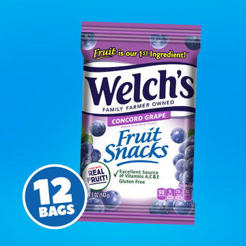 Welch s Fruit Snacks, Concord Grape Snack Box, Gluten Free, 5oz Snack Packs (Pack of 12)