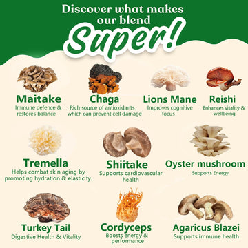 10 Mushroom Matcha Powder With Lion'S Mane, Reishi, Mushroom Polysaccharides & More, 3500Mg(10:1) Extract, Japanese Ceremonial M