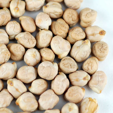 Dried Garbanzo Beans- Organic Sprouting Seeds - 1 Lbs - Handy Pantry Brand - Dry Garbonzo Bean / Seeds - For Planting, Gardening