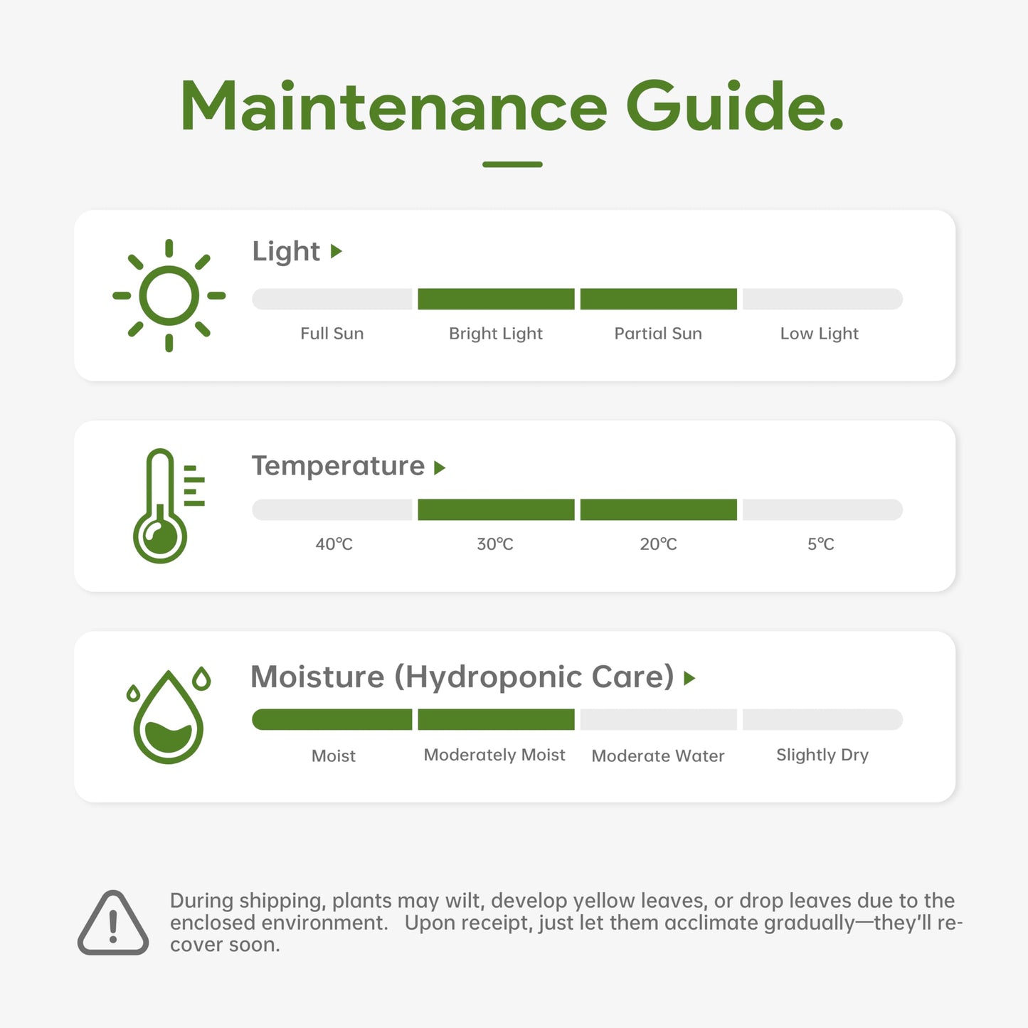 3 Stalks Lucky Bamboo Plants Indoor Live - Multi-Height Set (2x6 & 1x8 ) for Good Luck & Prosperity - Easy Care Houseplant, Ho