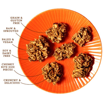 Lark Ellen Farm Berrylicious Granola Clusters: Raw, Organic, Vegan. Low Carb, Paleo. Gluten-Free Bites. Healthy Breakfast/Snack.