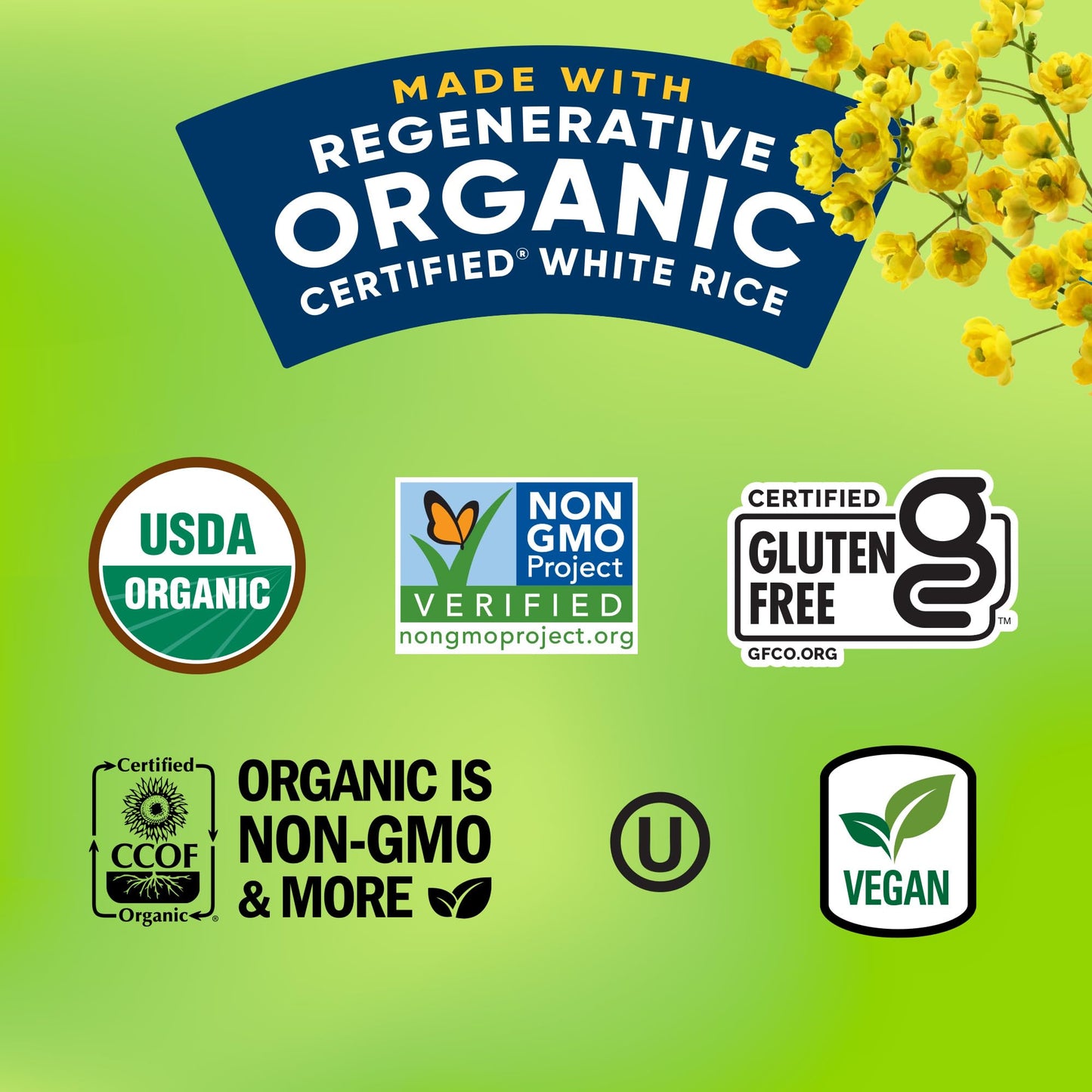 Lundberg Organic White Clam Sauce, 5.5 Ounce, Pack of 1