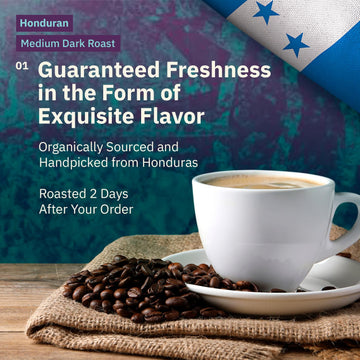 Organic Honduran Whole Bean Coffee Medium Dark Roast - 12Oz, Single Origin Arabica Coffee Beans, Fair Trade Specialty Coffee