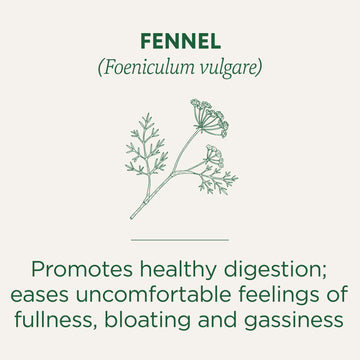 Traditional Medicinals Organic Fennel Tea, 16 Count