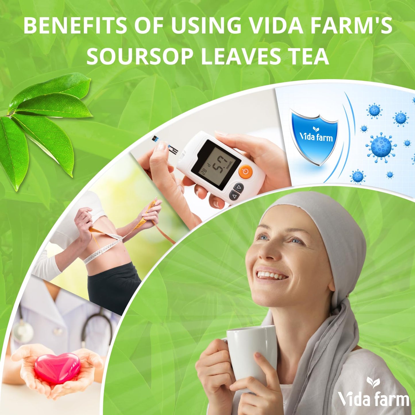 VIDA FARM Soursop Tea Bags, 100% Natural Pure Leaves, Caffeine Free, 50 Bags, Dark Yellow