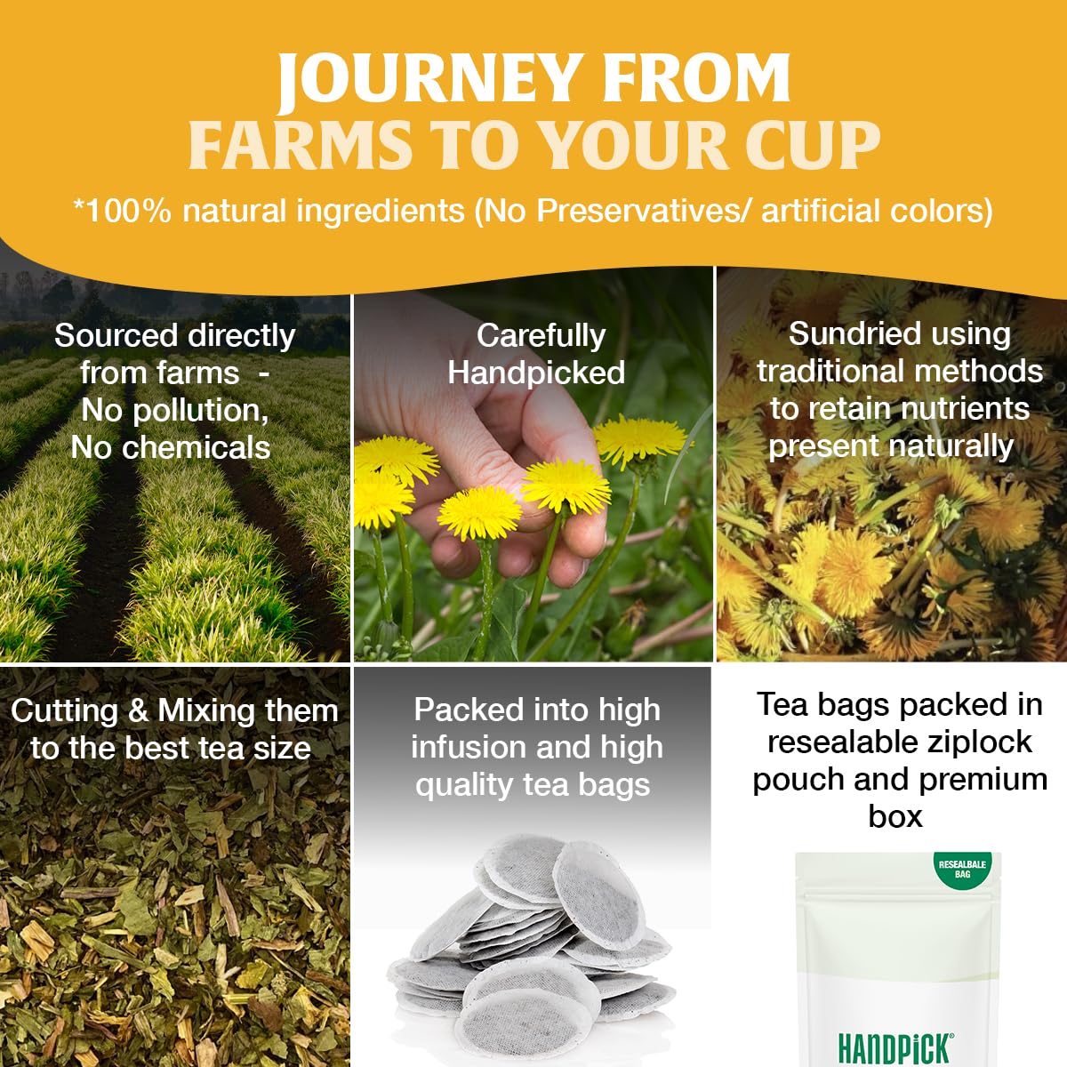 HANDPICK Dandelion Root Tea Bags - Natural Herbal Tea, Caffeine-Free, 100 Count