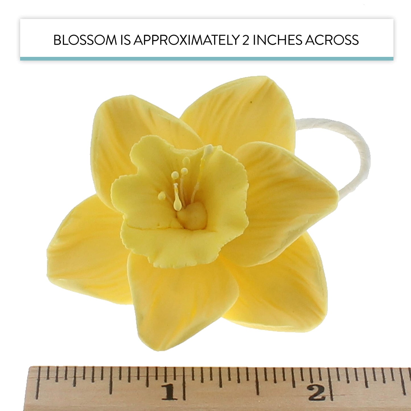 Global Sugar Art Daffodil Sugar Cake Flowers, Yellow, 6 Count By Chef Alan Tetreault