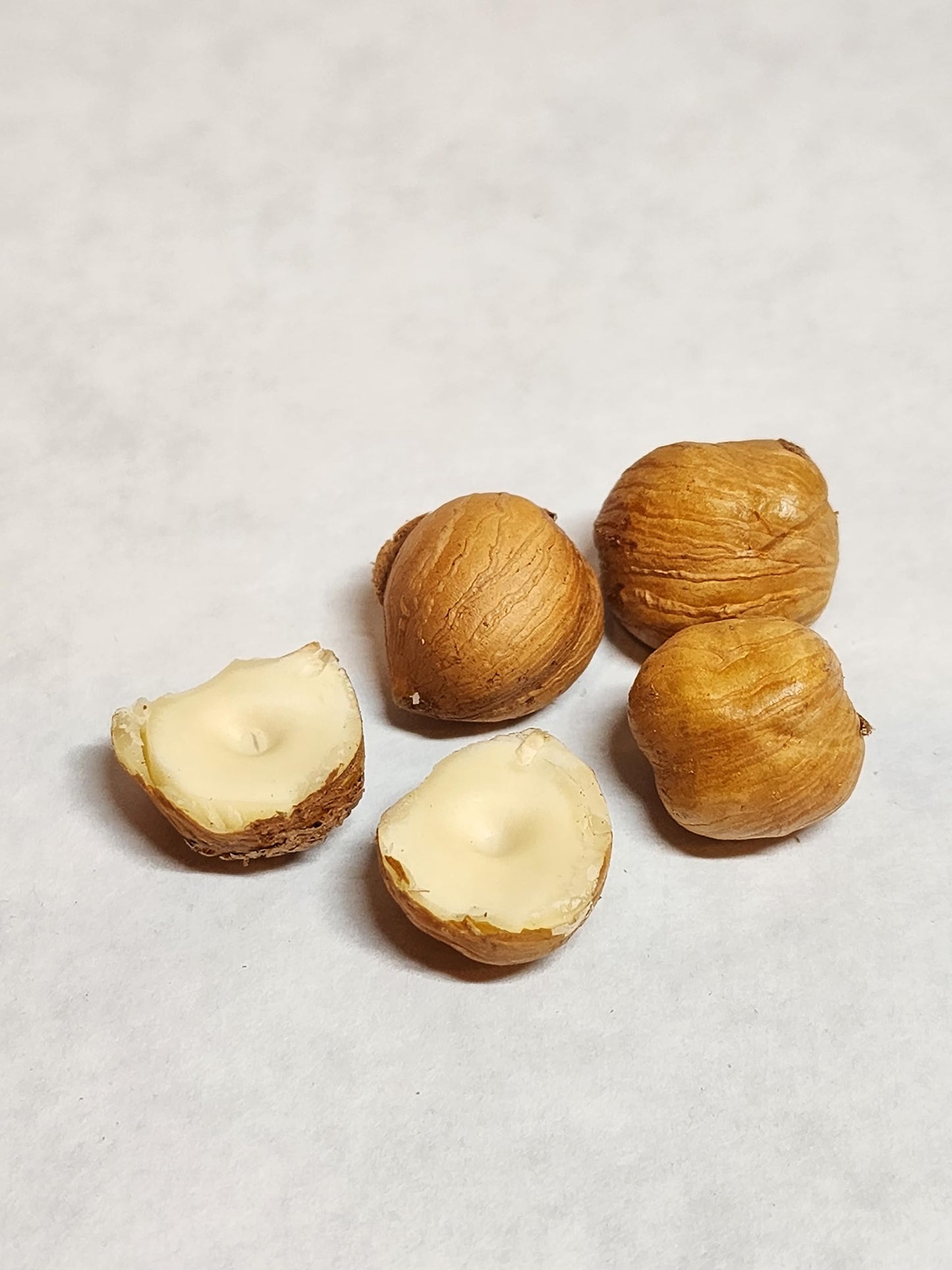 Hazelnuts In-Shell, From Our Family Orchard In Washington State (Roasted, 4 Pounds)