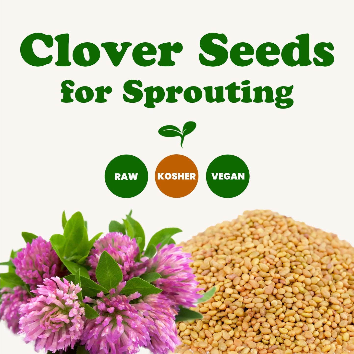 Food To Live Clover Seeds For Sprouting, 8 Ounces - Pure, Vegan, Kosher, Bulk. Edible Seeds. Rich In Vitamin C. High Germitation