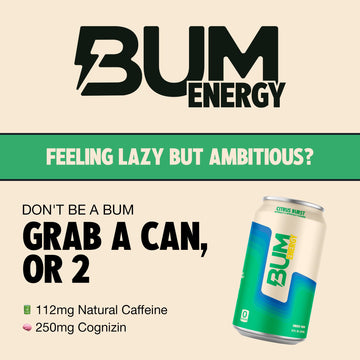 Bum Energy Sugar-Free Energy Drink, Citrus Burst, Lightly Carbonated, Natural Caffeine, 12 oz, Pack of 12