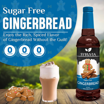 Syruvia Sugar-Free Gingerbread Coffee Syrup - 25.4 fl oz Premium Coffee Flavoring Syrup - 0 Calorie- Kosher Coffee Syrups, Glute