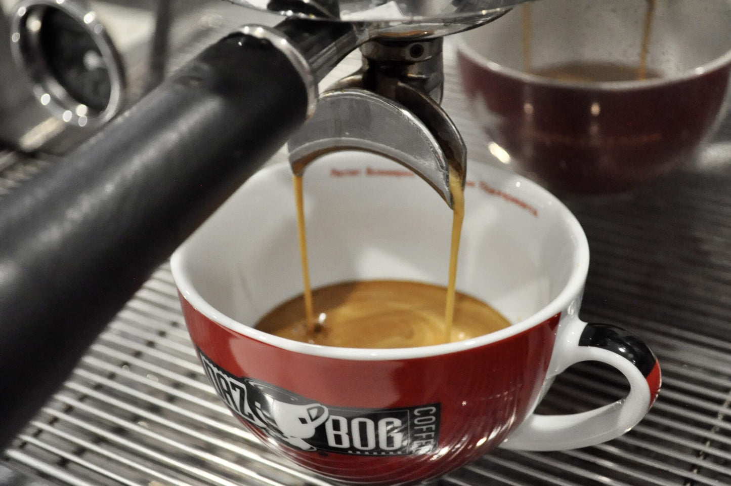 Dazbog Coffee | Sumatra Single Origin | Whole Bean | 11 Oz. | Strong, Sweet & Earthy Aroma | Exotic, Heavily-Bodied Blend | Smooth Finish | Vacuum Sealed Freshness